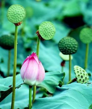 Bài viết tin tức